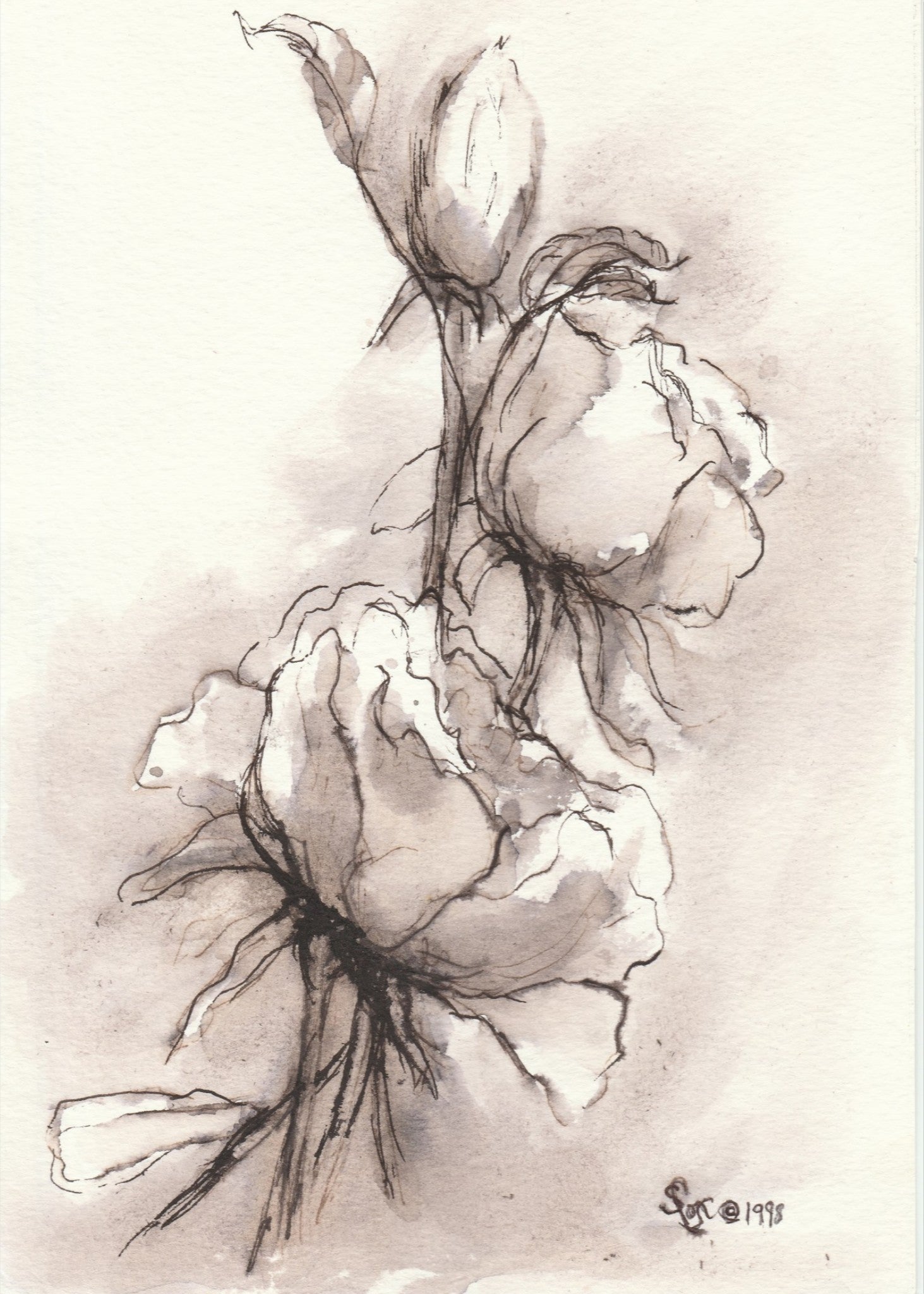 Roses in Ink