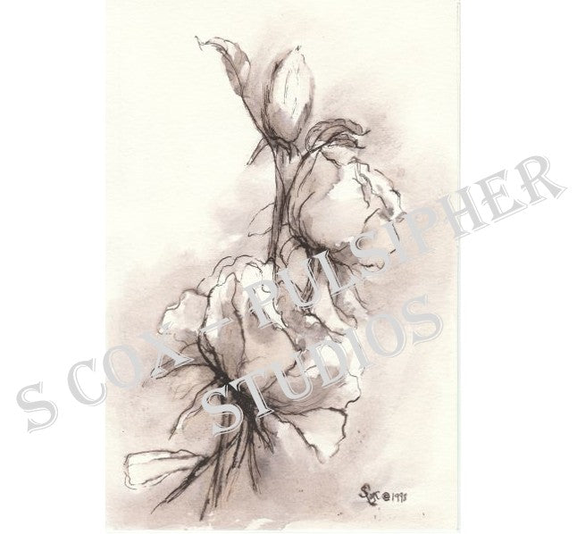 Roses in Ink